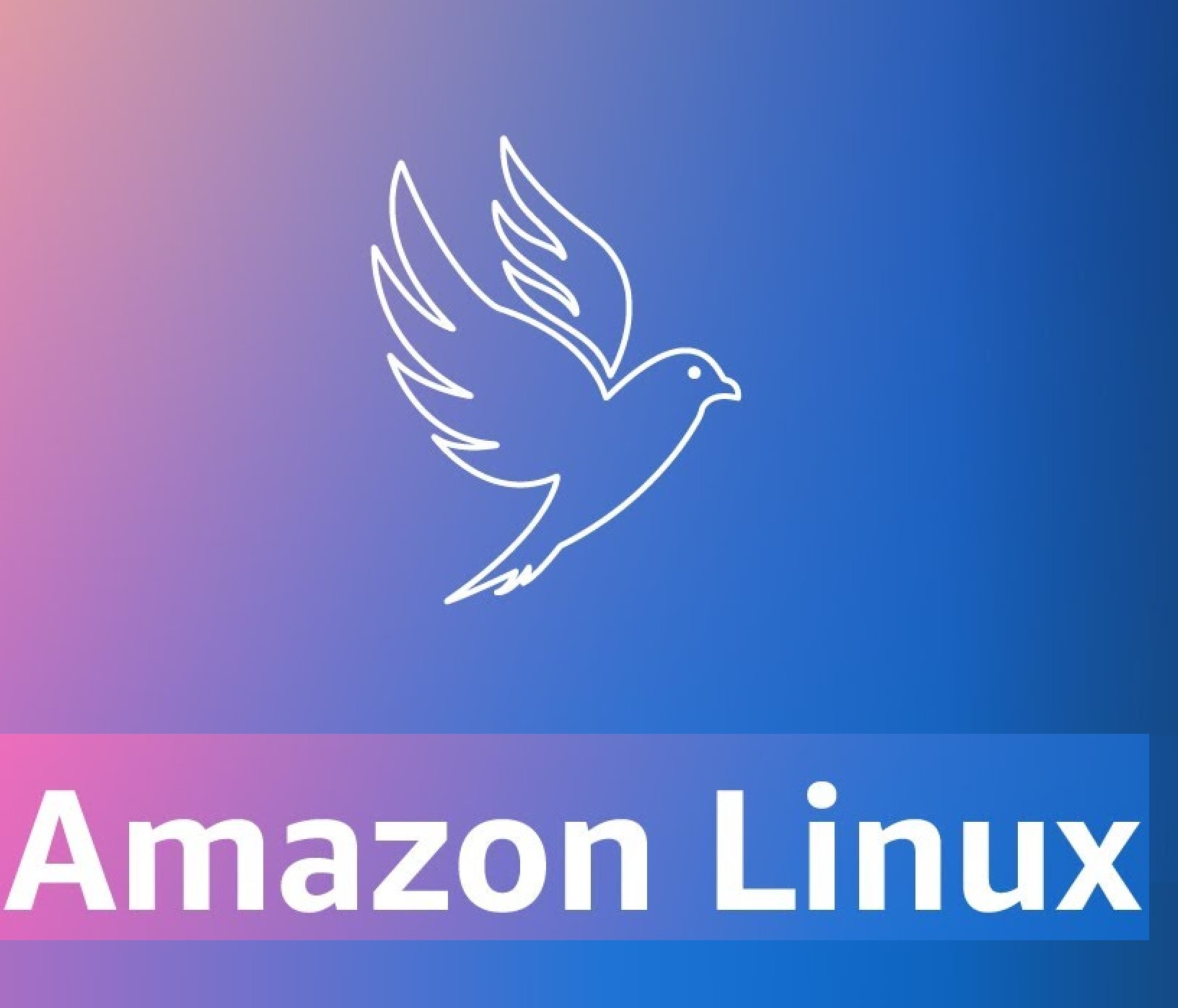 Amazon Linux